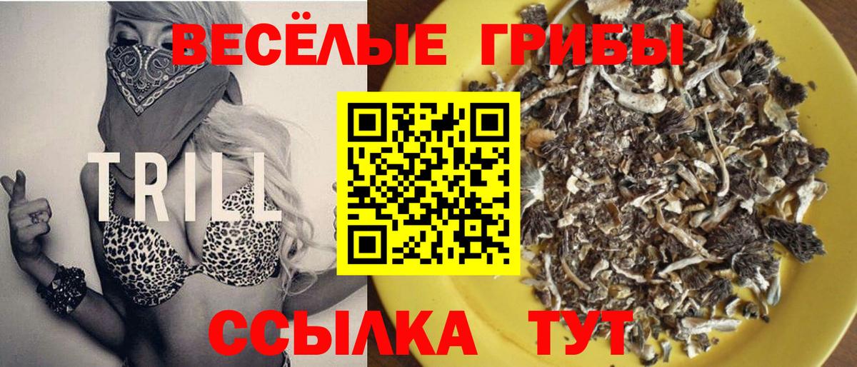 Галлюциногенные грибы Magic Shrooms Белгород